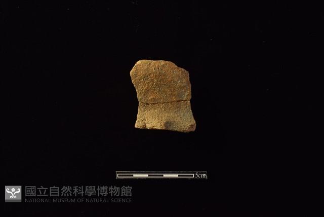 陶罐藏品圖，第1張