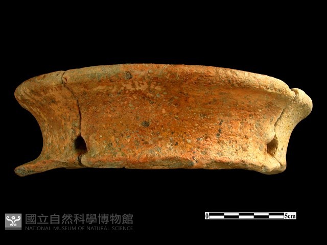 陶片藏品圖，第1張