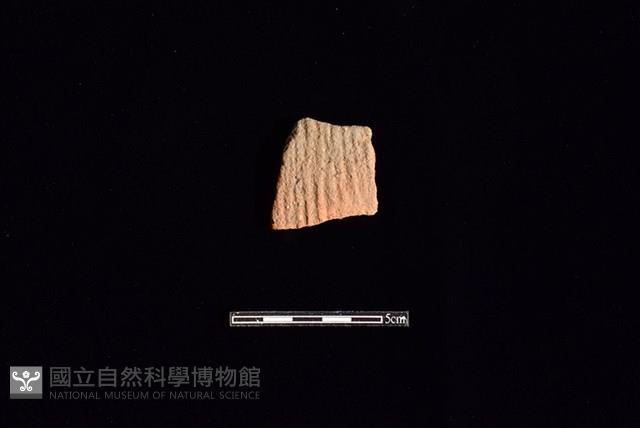 陶片藏品圖，第1張