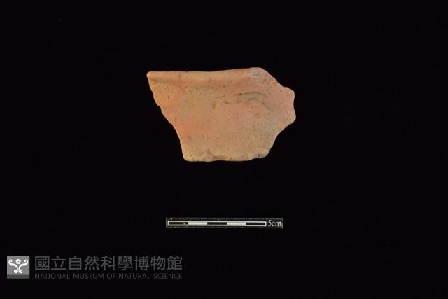 陶片藏品圖，第1張