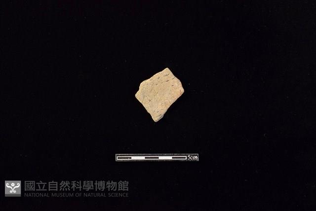 陶片藏品圖，第1張