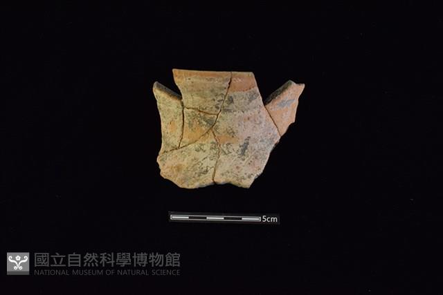 陶罐藏品圖，第1張