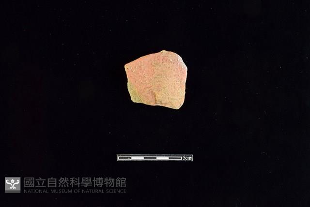 陶片藏品圖，第1張