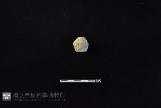 陶紡輪藏品圖，第1張