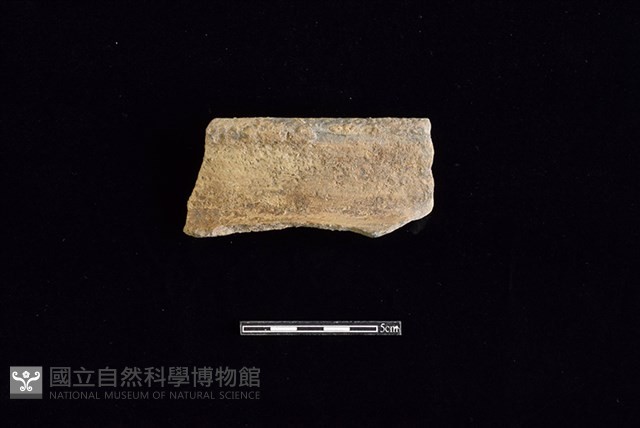 陶罐藏品圖，第1張