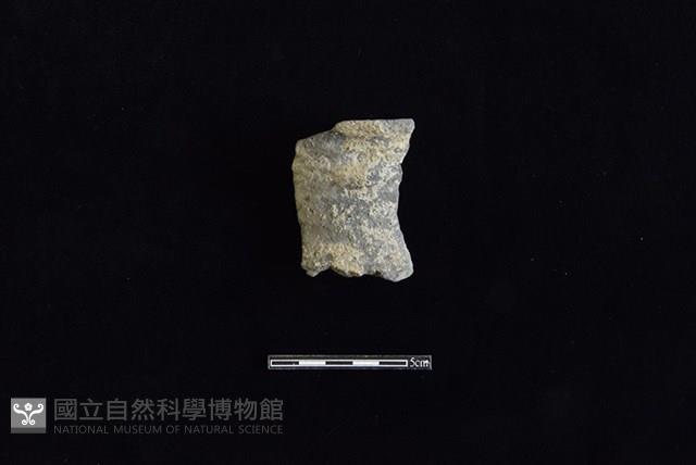 陶罐藏品圖，第1張