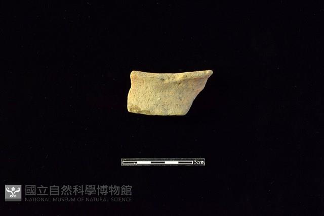 陶片藏品圖，第1張