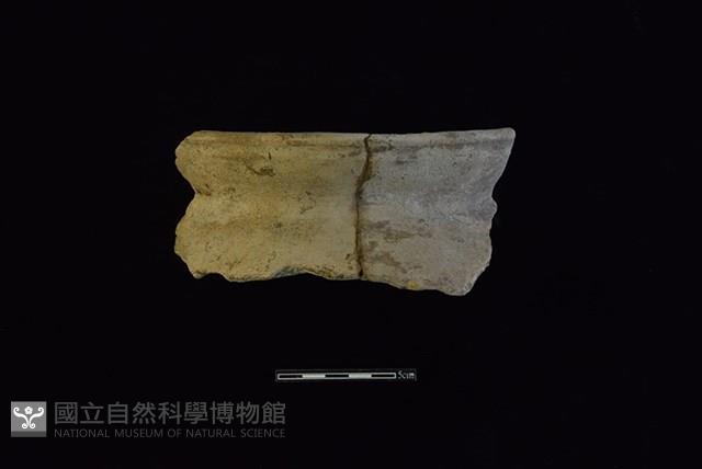 陶罐藏品圖，第1張