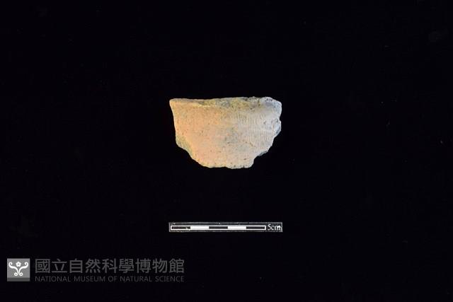 陶片藏品圖，第1張