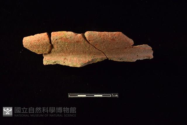 陶罐藏品圖，第1張