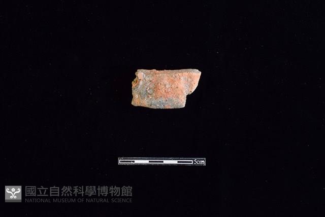 陶片藏品圖，第1張