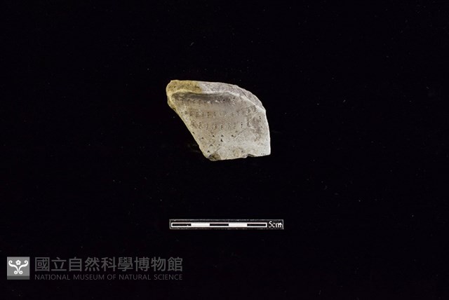 陶罐藏品圖，第1張