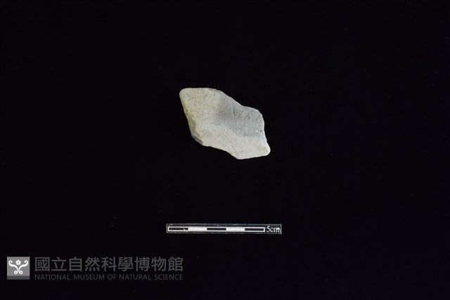 陶片藏品圖，第1張