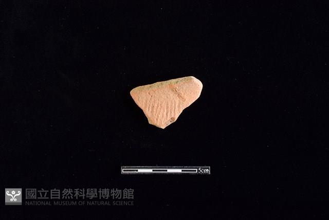 陶罐藏品圖，第1張