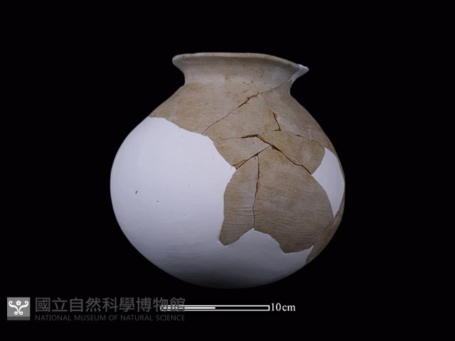 陶罐藏品圖，第1張