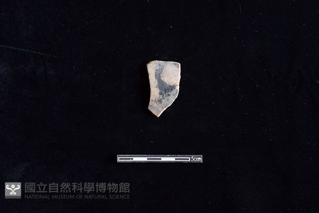 陶片藏品圖，第1張