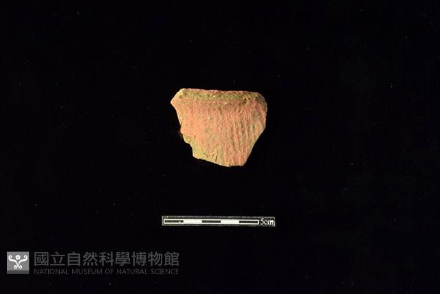 陶片藏品圖，第1張