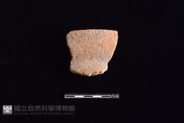 Accession Number:HLL-J PT1455 Collection Image, Figure 1, Total 2 Figures