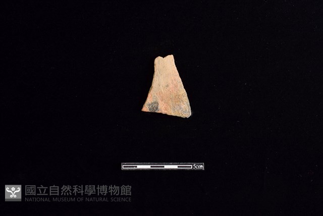 陶片藏品圖，第1張