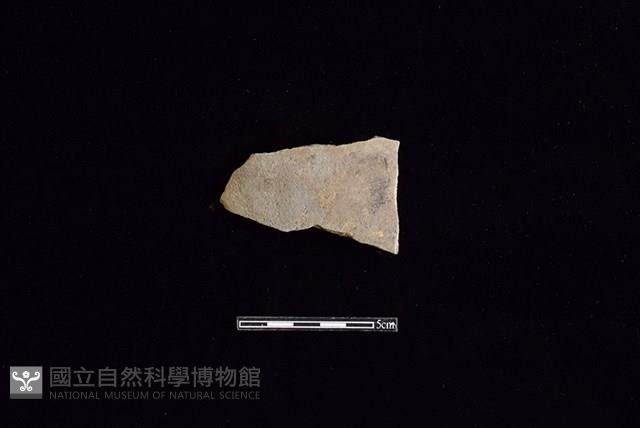 陶片藏品圖，第1張