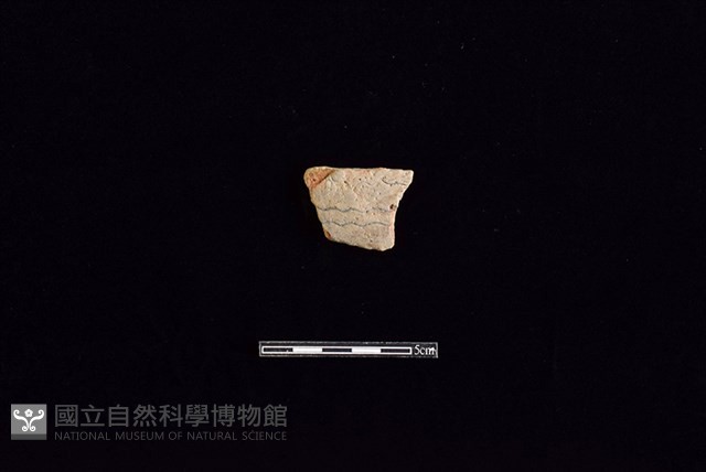 陶片藏品圖，第1張