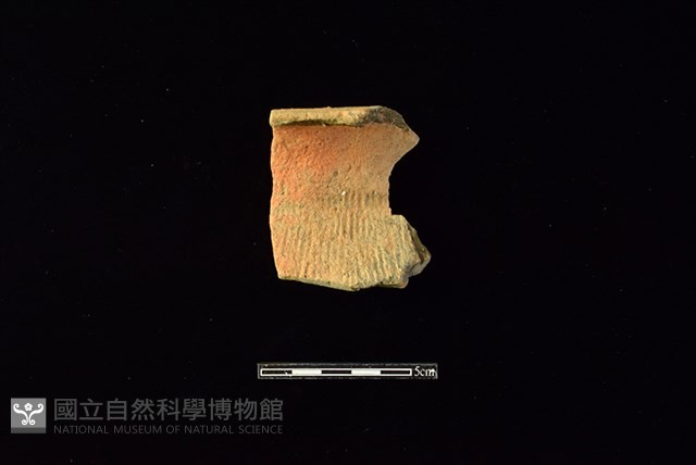陶罐藏品圖，第1張