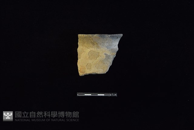 陶罐藏品圖，第1張