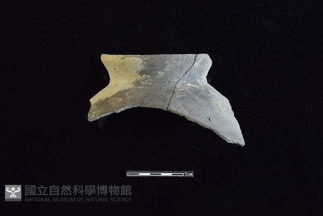 陶罐藏品圖，第1張