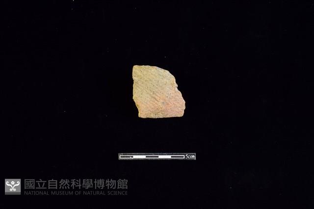 陶片藏品圖，第1張