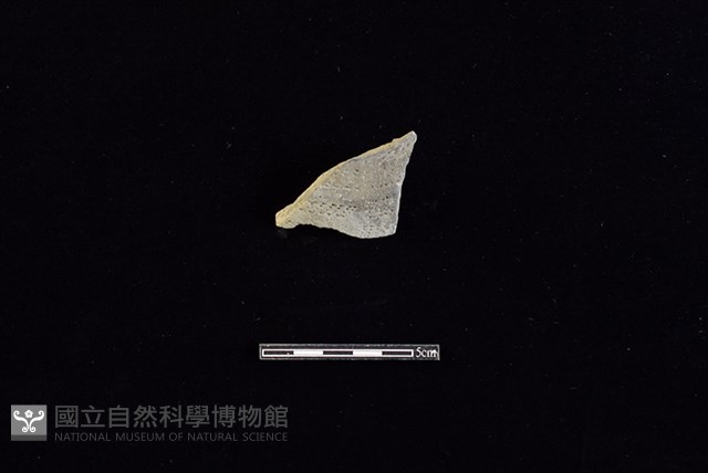 陶罐藏品圖，第1張