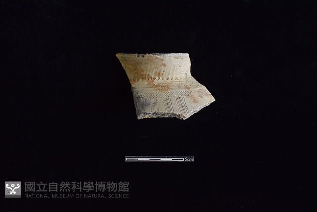 陶罐藏品圖，第1張