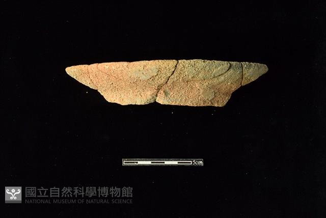 陶罐藏品圖，第1張