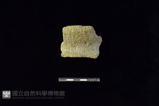 陶罐藏品圖，第1張