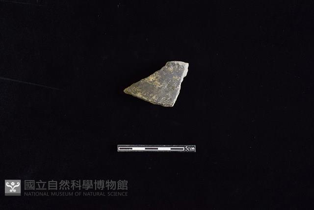 陶罐藏品圖，第1張