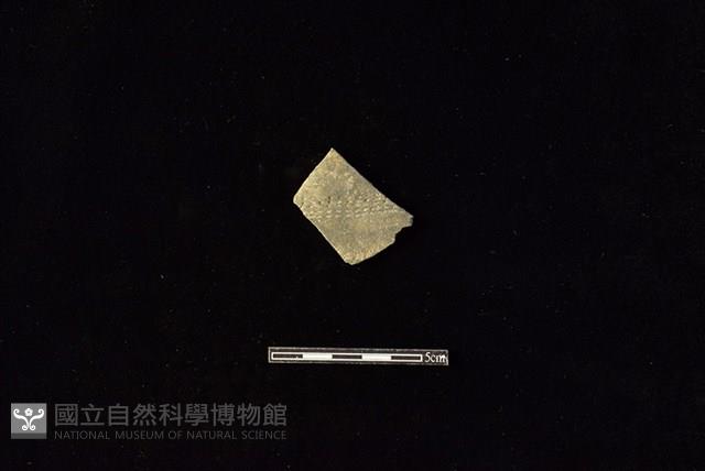 陶片藏品圖，第1張