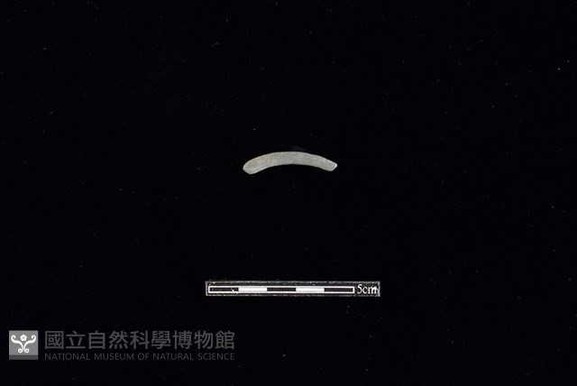 陶環藏品圖，第1張