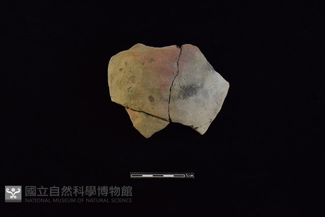 陶罐藏品圖，第1張