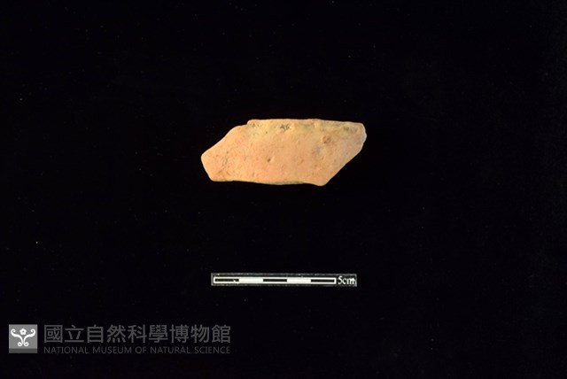 陶片藏品圖，第1張