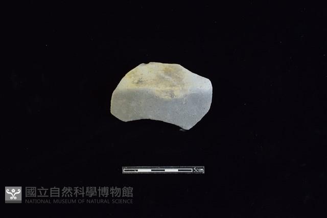 陶片藏品圖，第1張