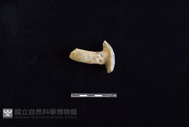 陶把藏品圖，第1張