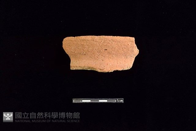 陶罐藏品圖，第1張