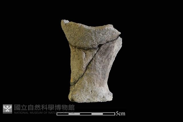 陶杯藏品圖，第1張