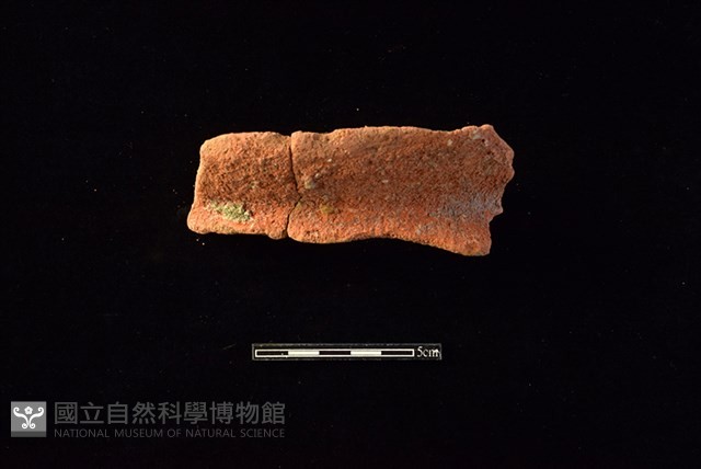 陶罐藏品圖，第1張