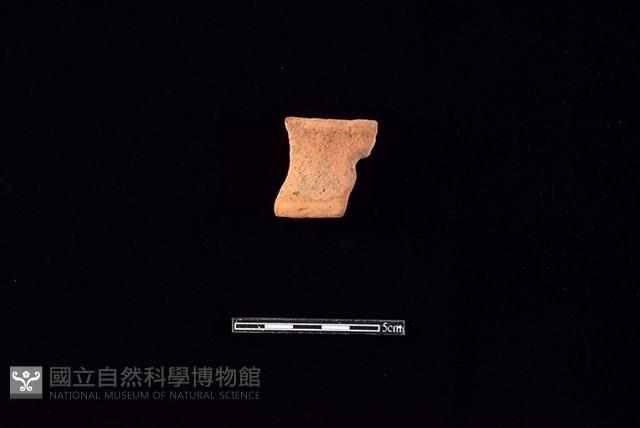 陶片藏品圖，第1張