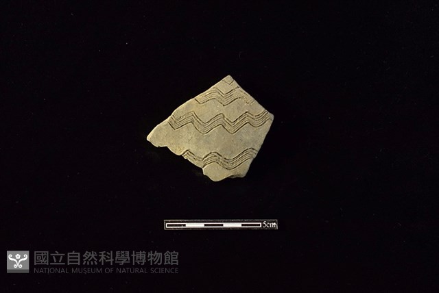 陶片藏品圖，第1張