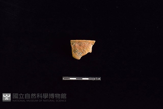 陶片藏品圖，第1張