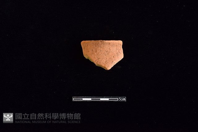 陶片藏品圖，第1張