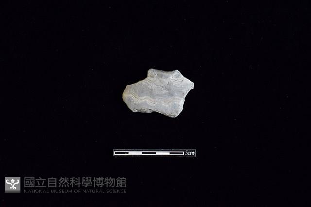 陶片藏品圖，第1張