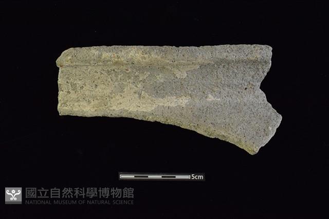 陶罐藏品圖，第1張