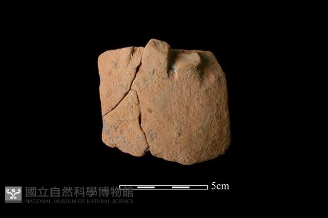 陶片藏品圖，第1張